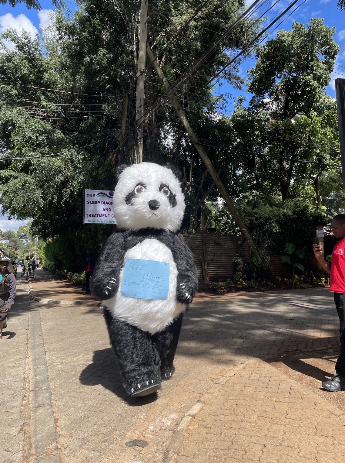 Moyo - Bunny mascot