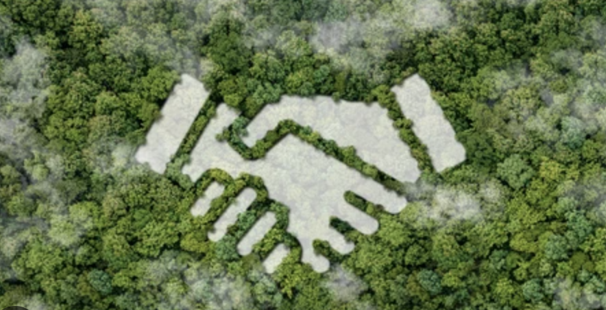 Aerial view of forest with handshake symbol representing partnership and collaboration