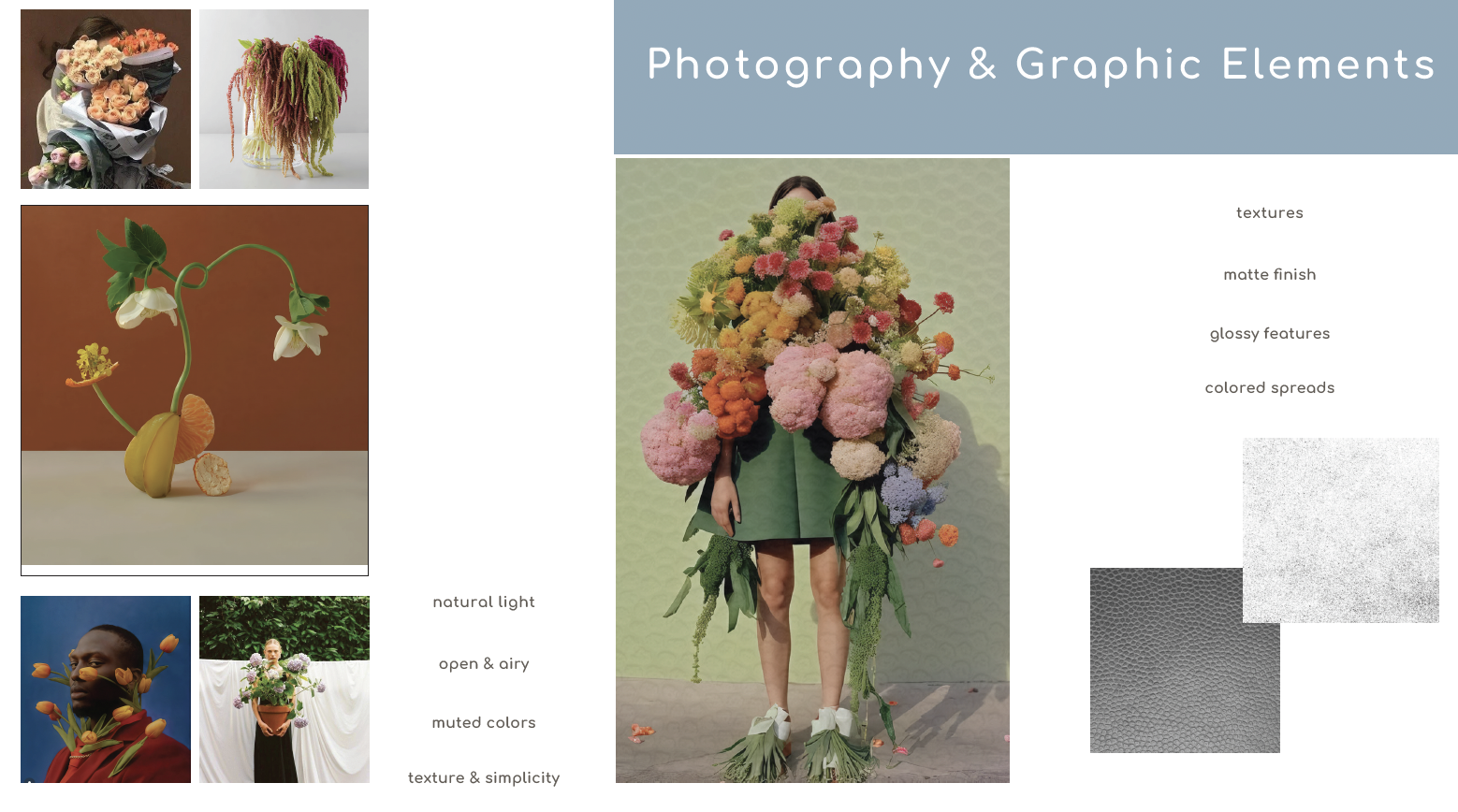 Photography and graphic elements inspiration