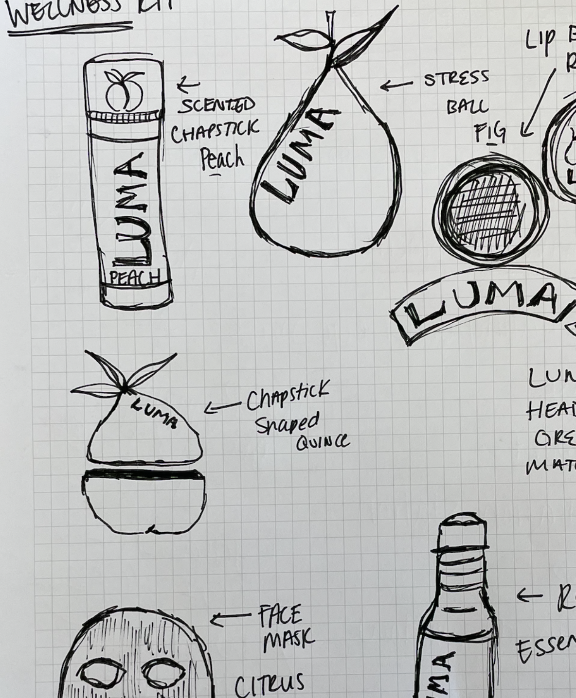 LUMA wellness kit product sketches close up
