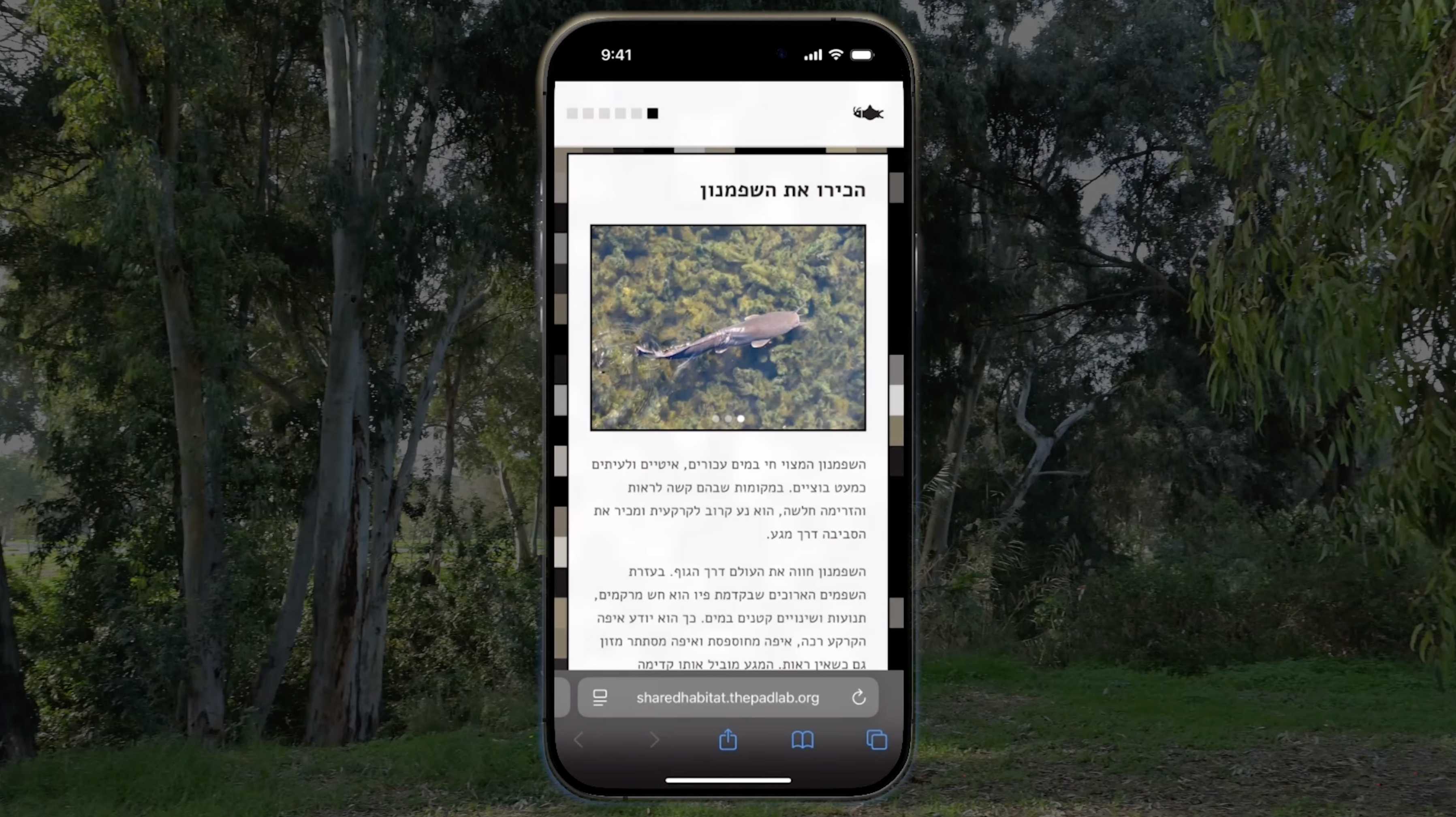 Common Habitat visual
