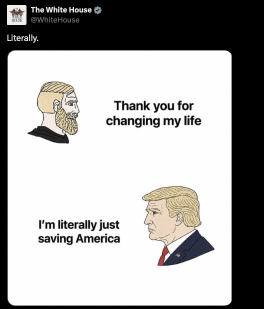 Literally just saving America meme
