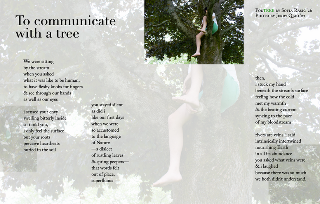 To Communicate with a Tree