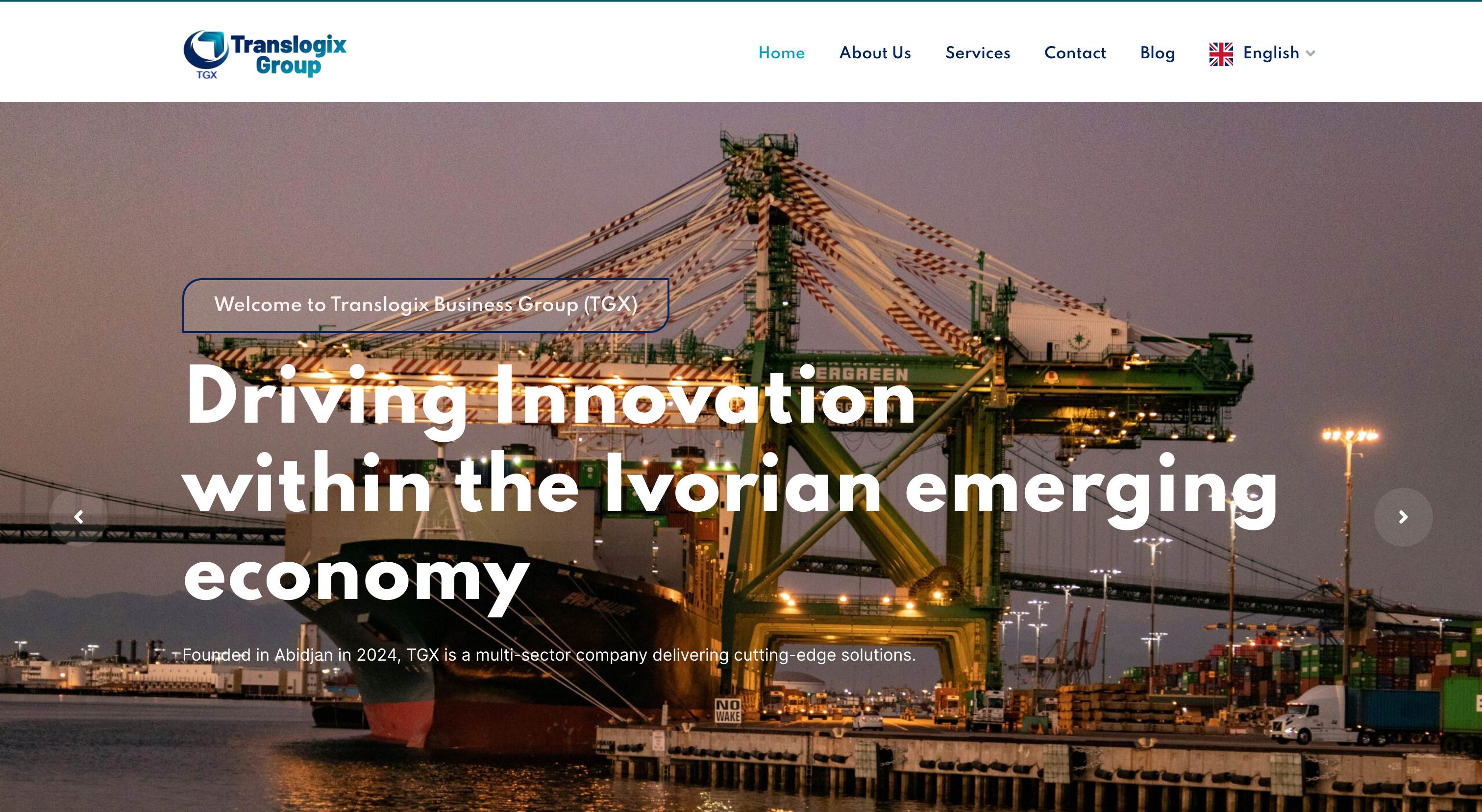 Translogix Group website preview