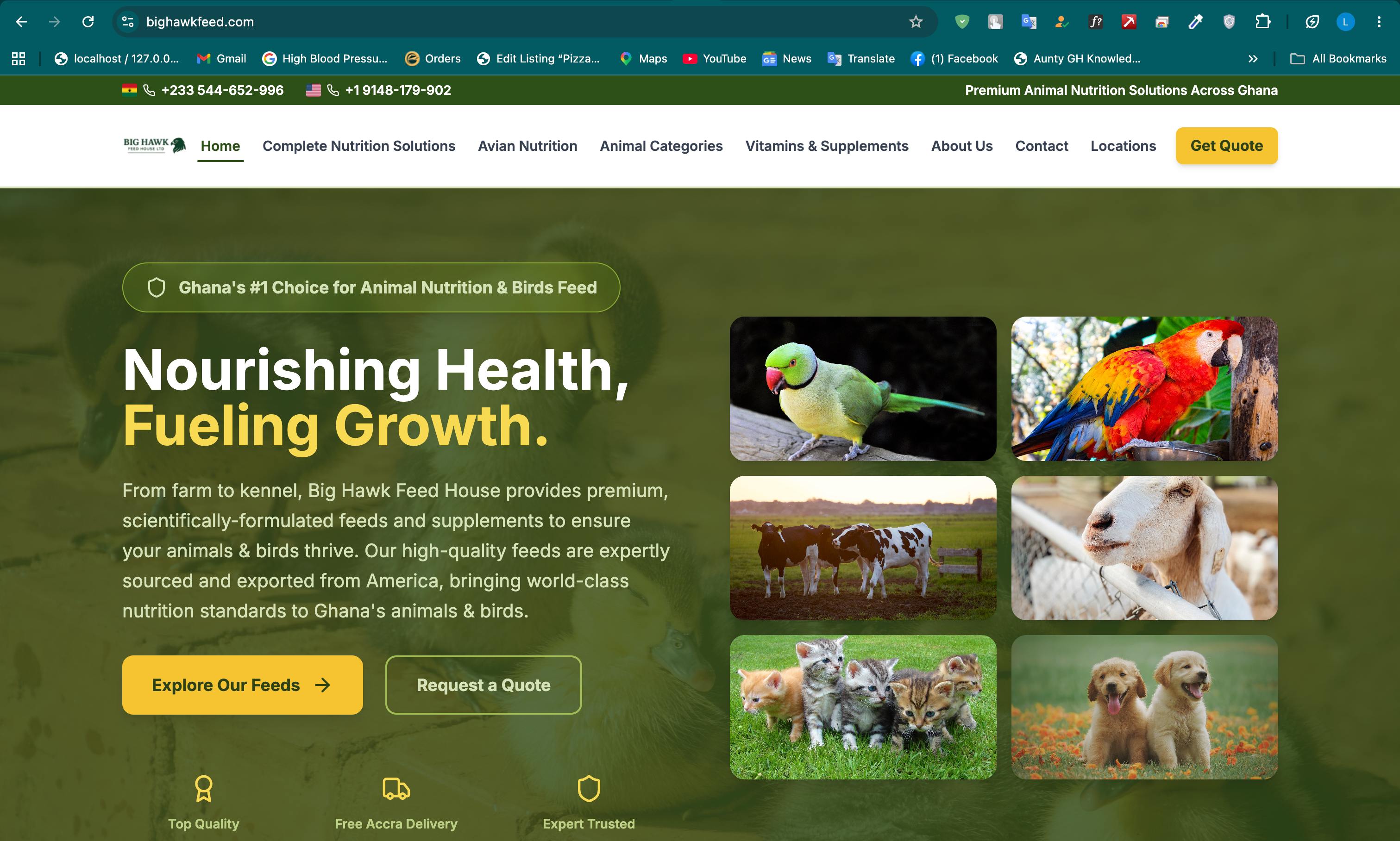 Big Hawk Feed House website preview