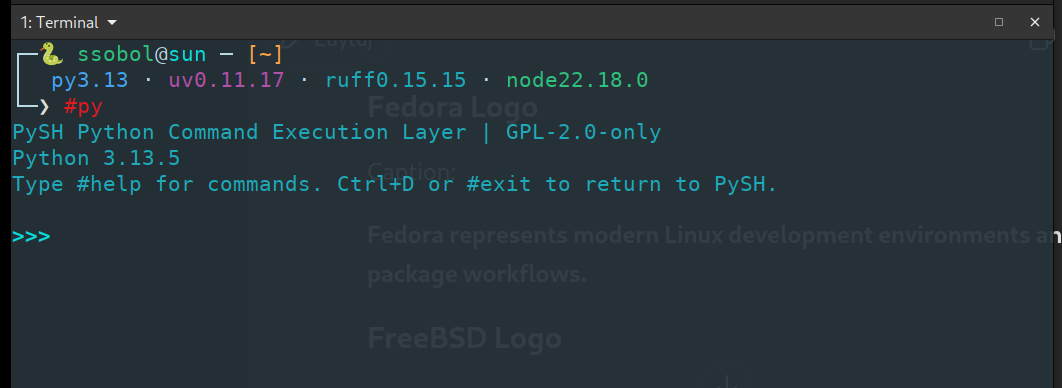 PySH Python Command Execution Layer — interactive mode
