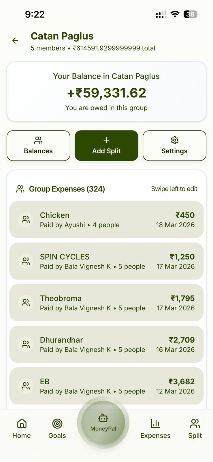 MoneyPal group expenses split screen showing Catan Paglus group
