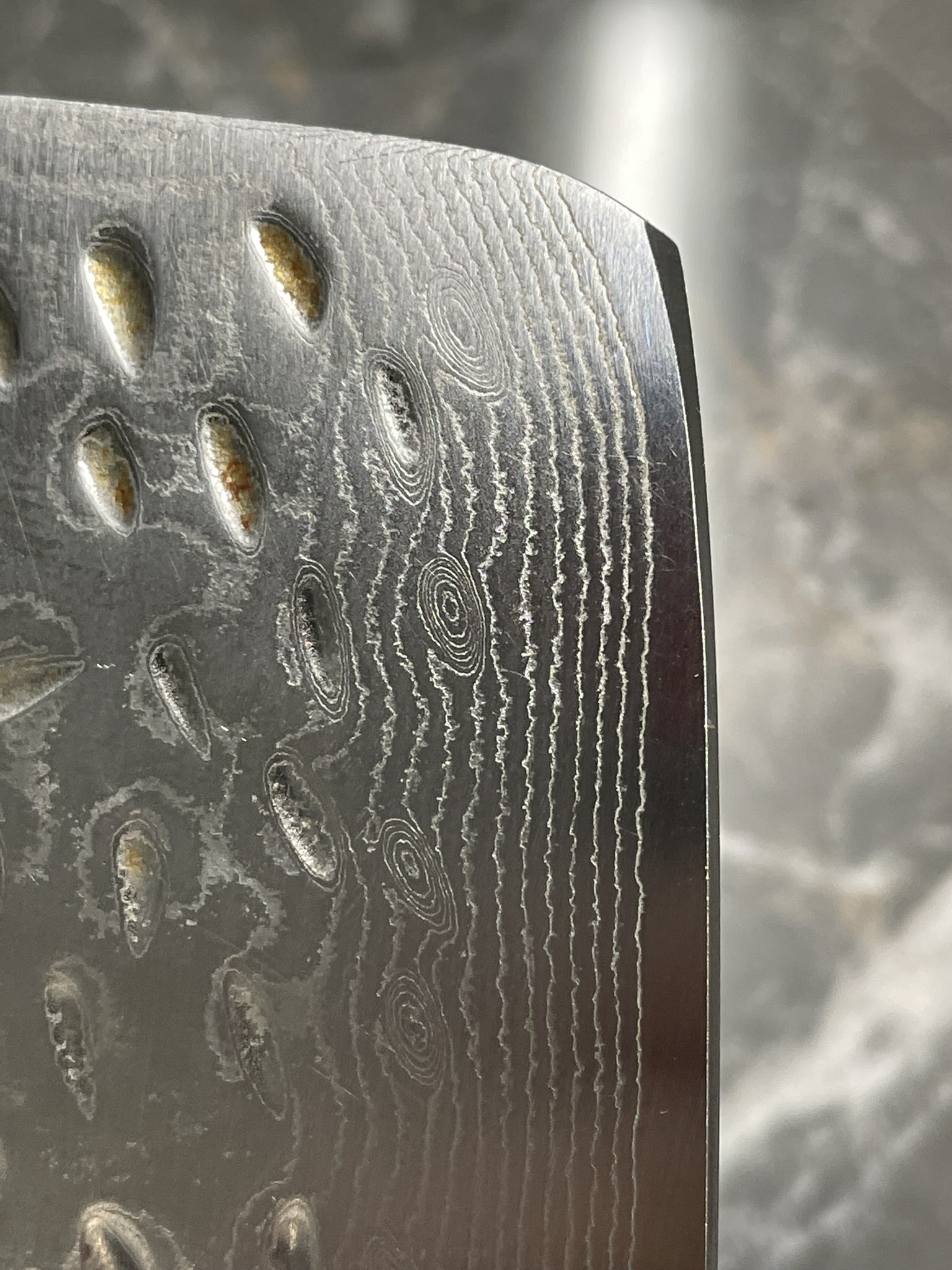 Dalstrong Nakiri after sharpening