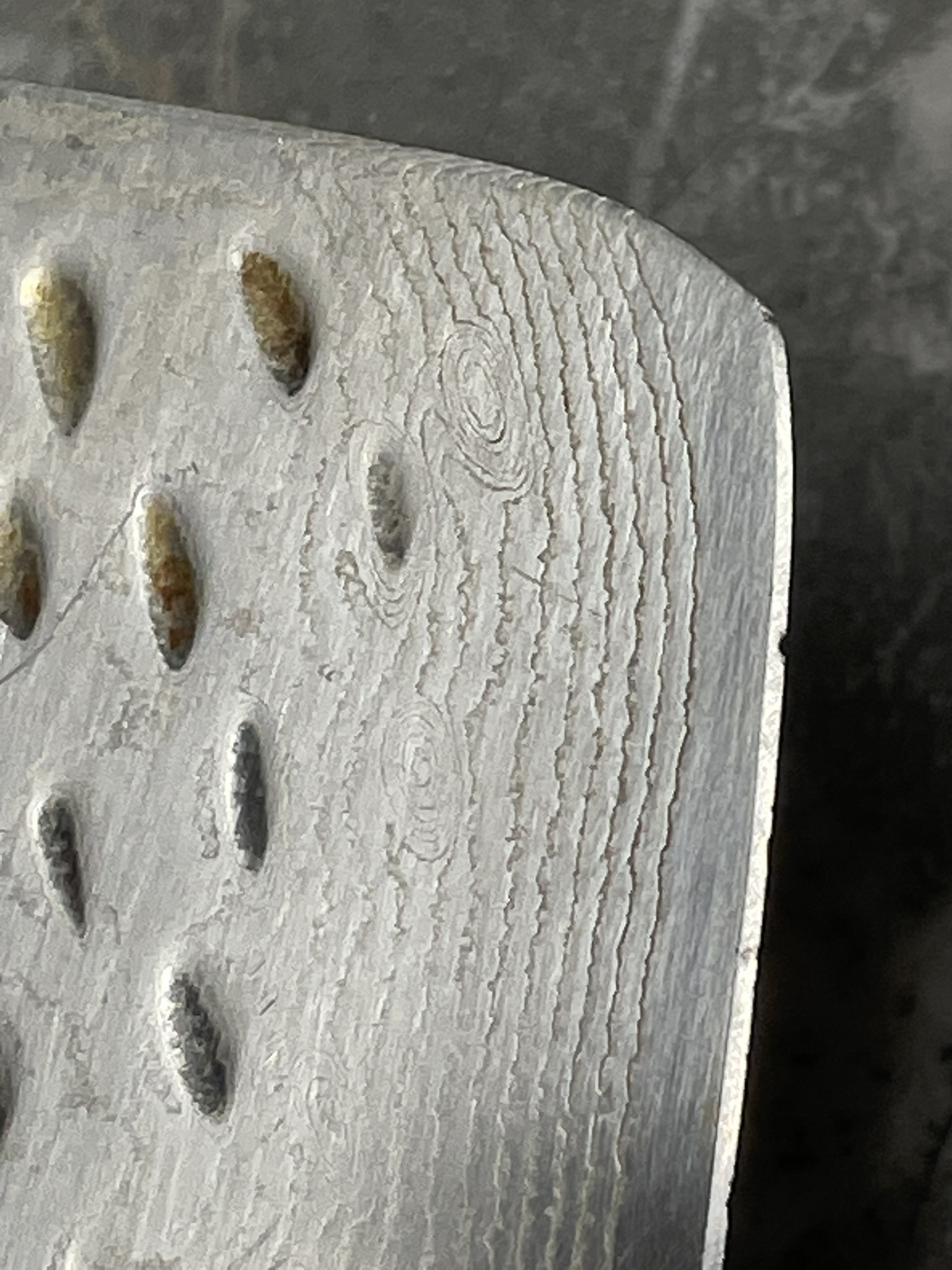 Dalstrong Nakiri before sharpening