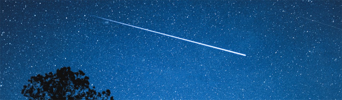 Leonid Shooting Star — Long-Exposure with Tree Silhouette