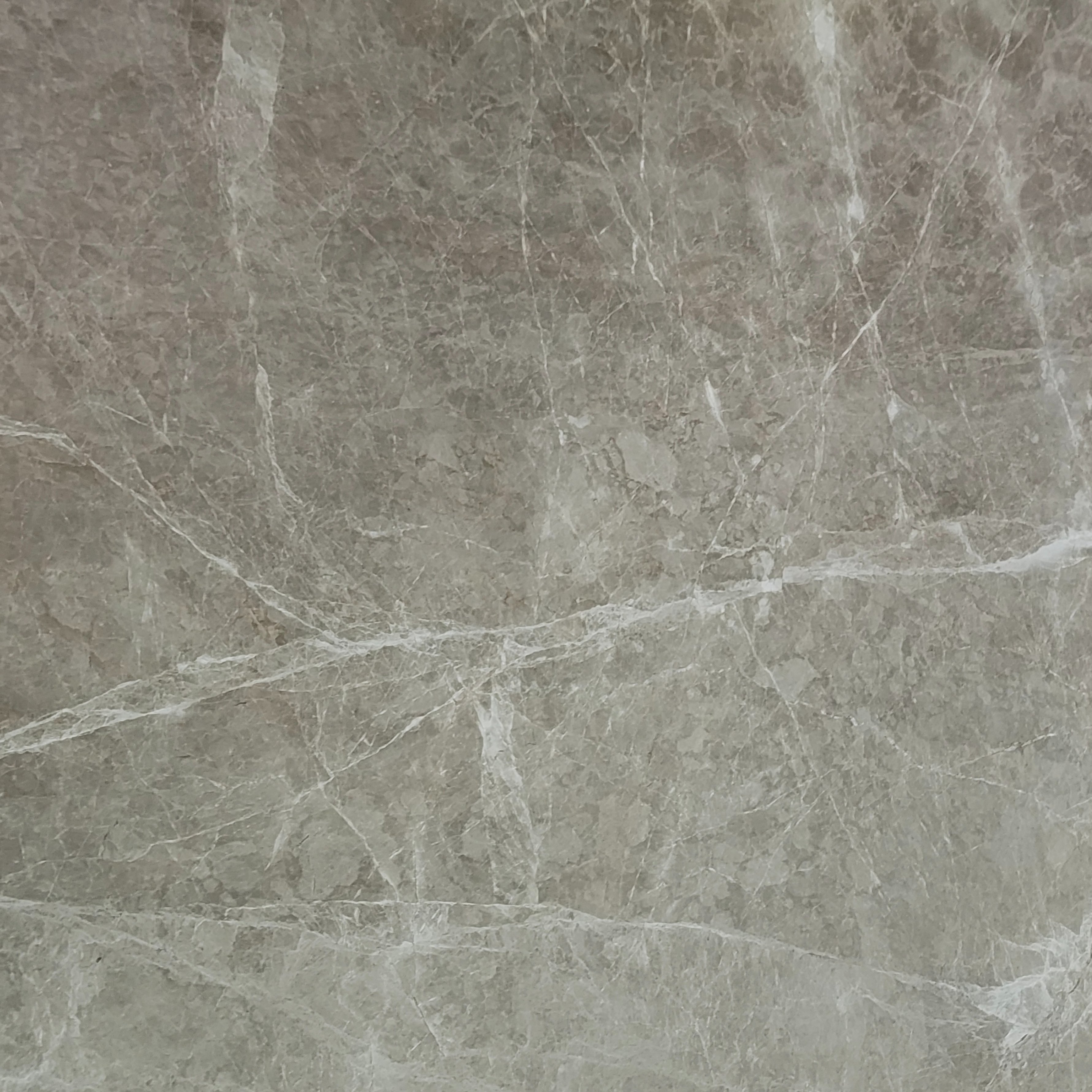 Silk Spider Grey grey marble texture