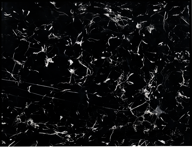 Silver Portoro black marble
