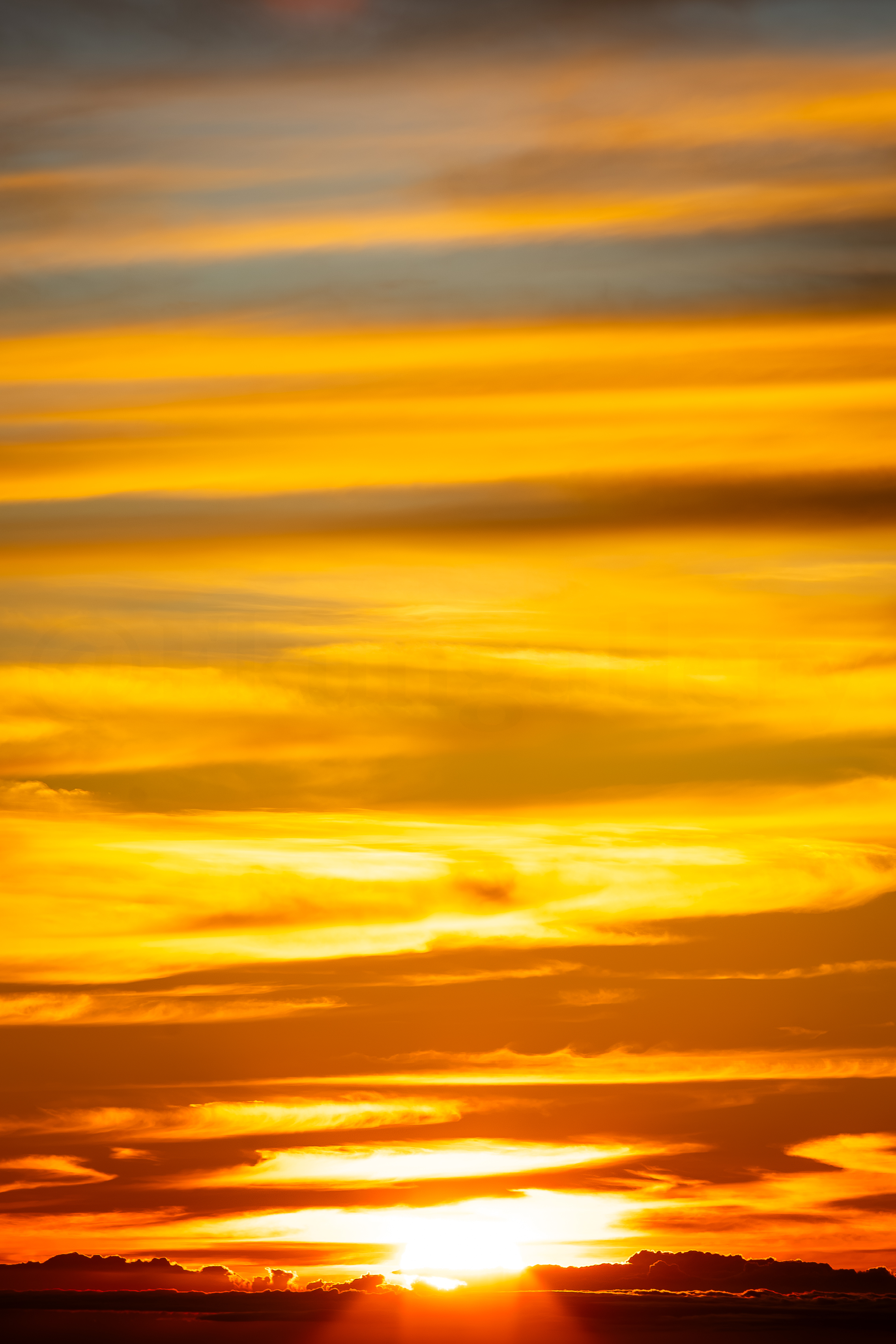Painted Sky