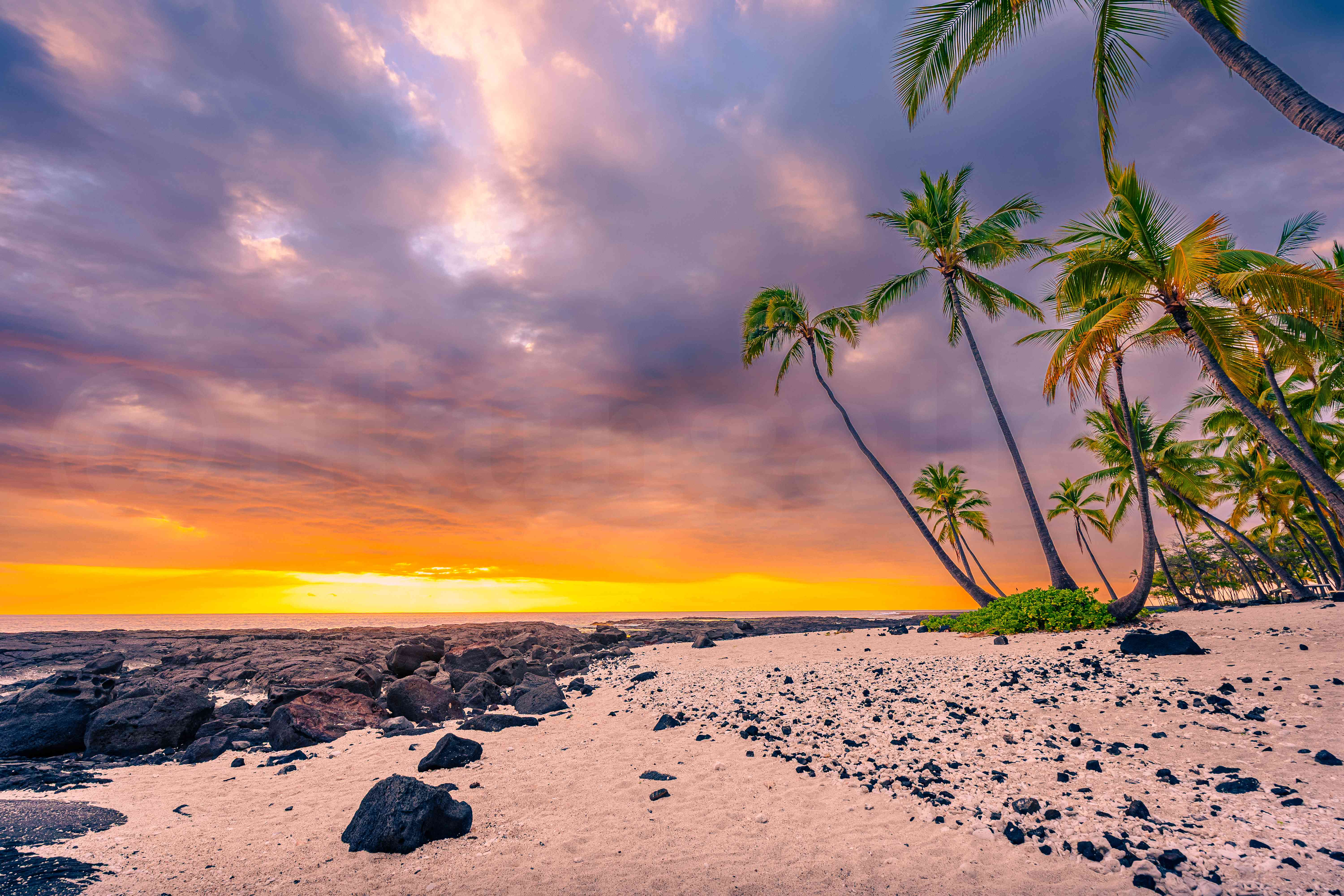 Paradise Found