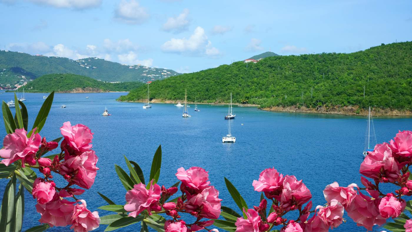 Coastal view with boats and pink flowers