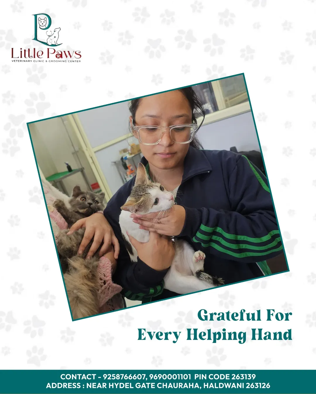 Veterinarian with pet