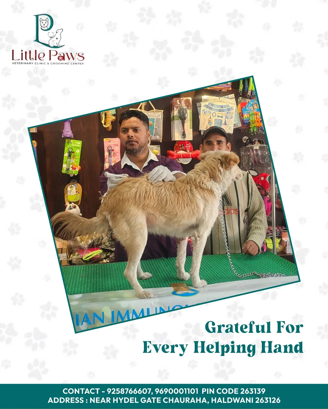 Premium pet products