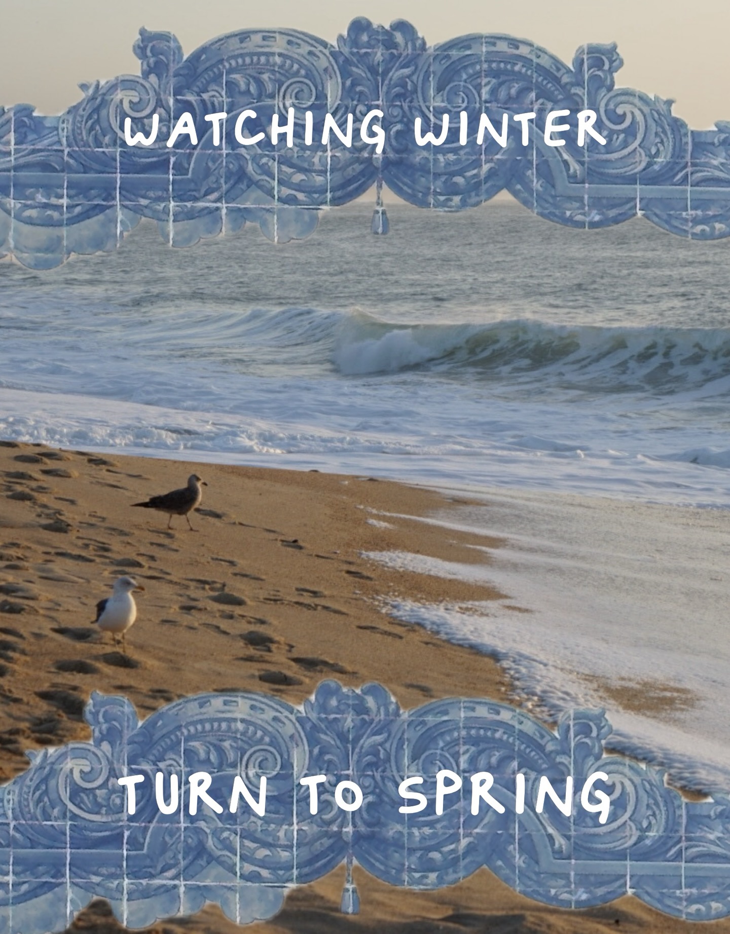 Beach scene with seagulls - winter turning to spring