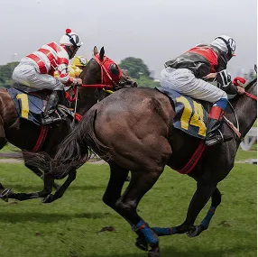 Horse racing event