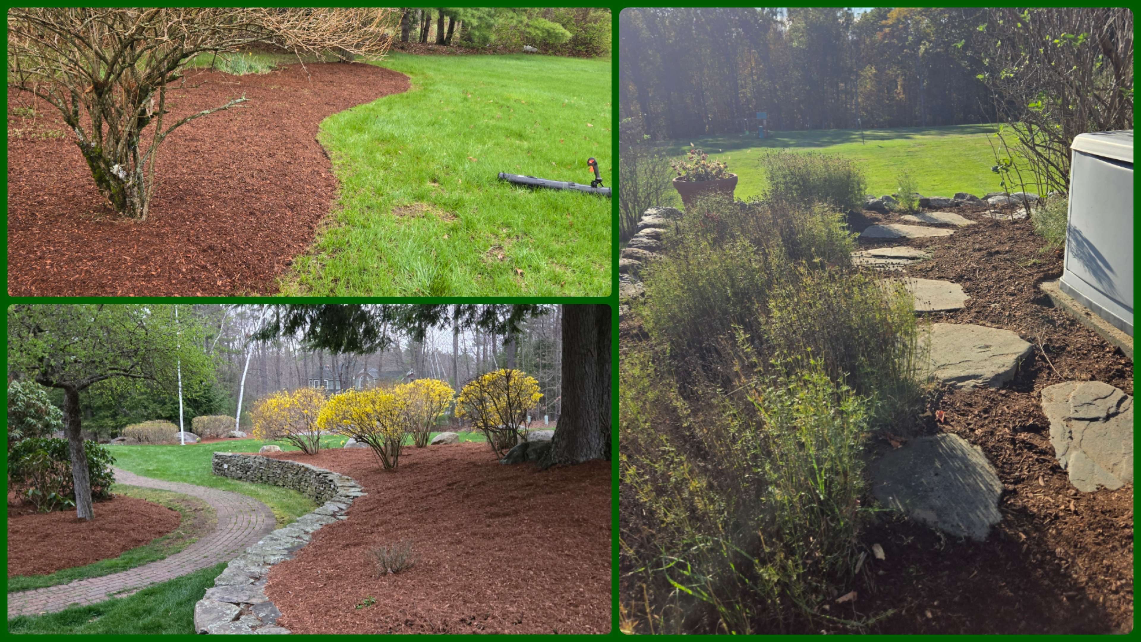 Spring & Fall Cleanups