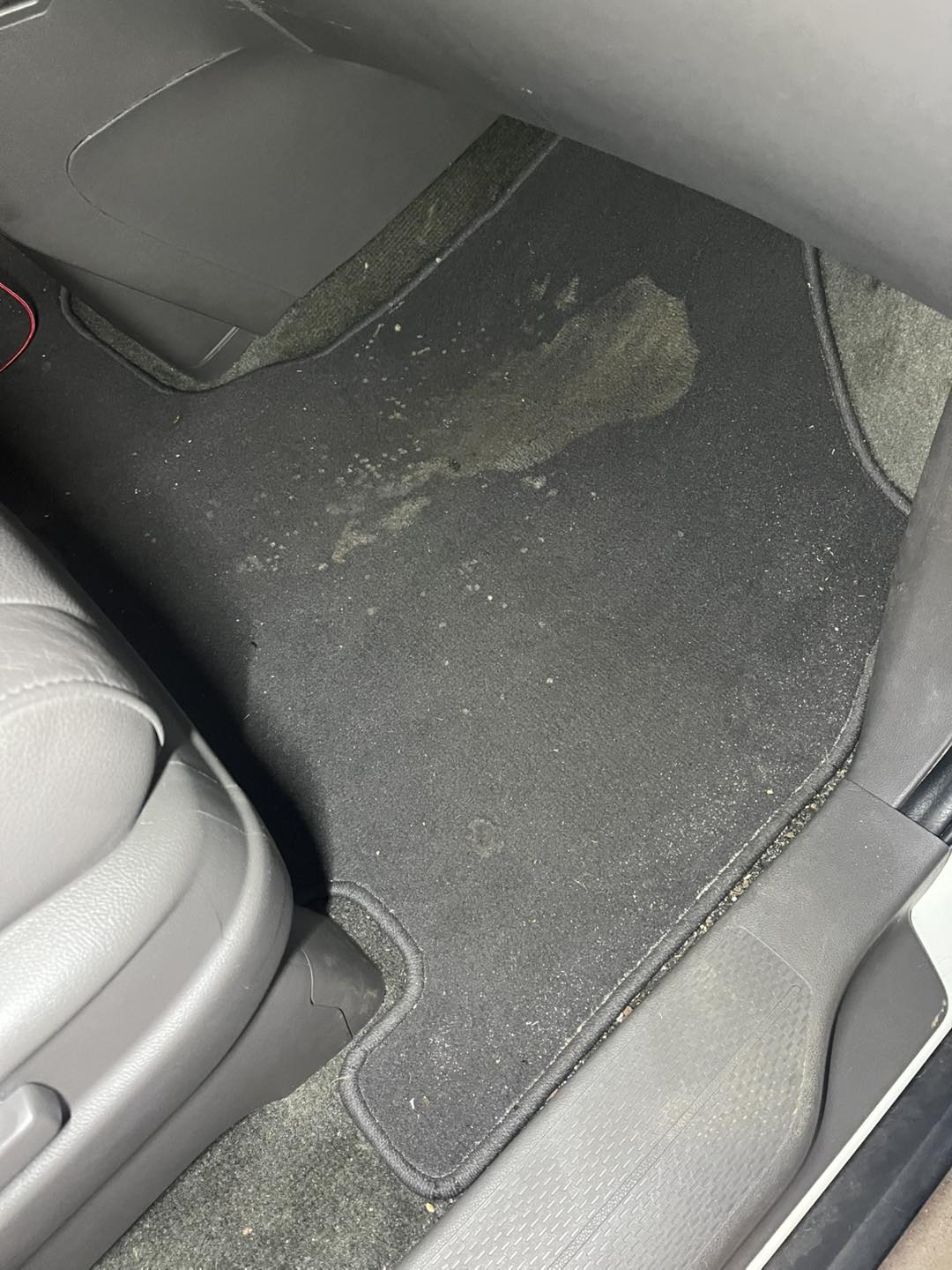 Stain Removal - Before