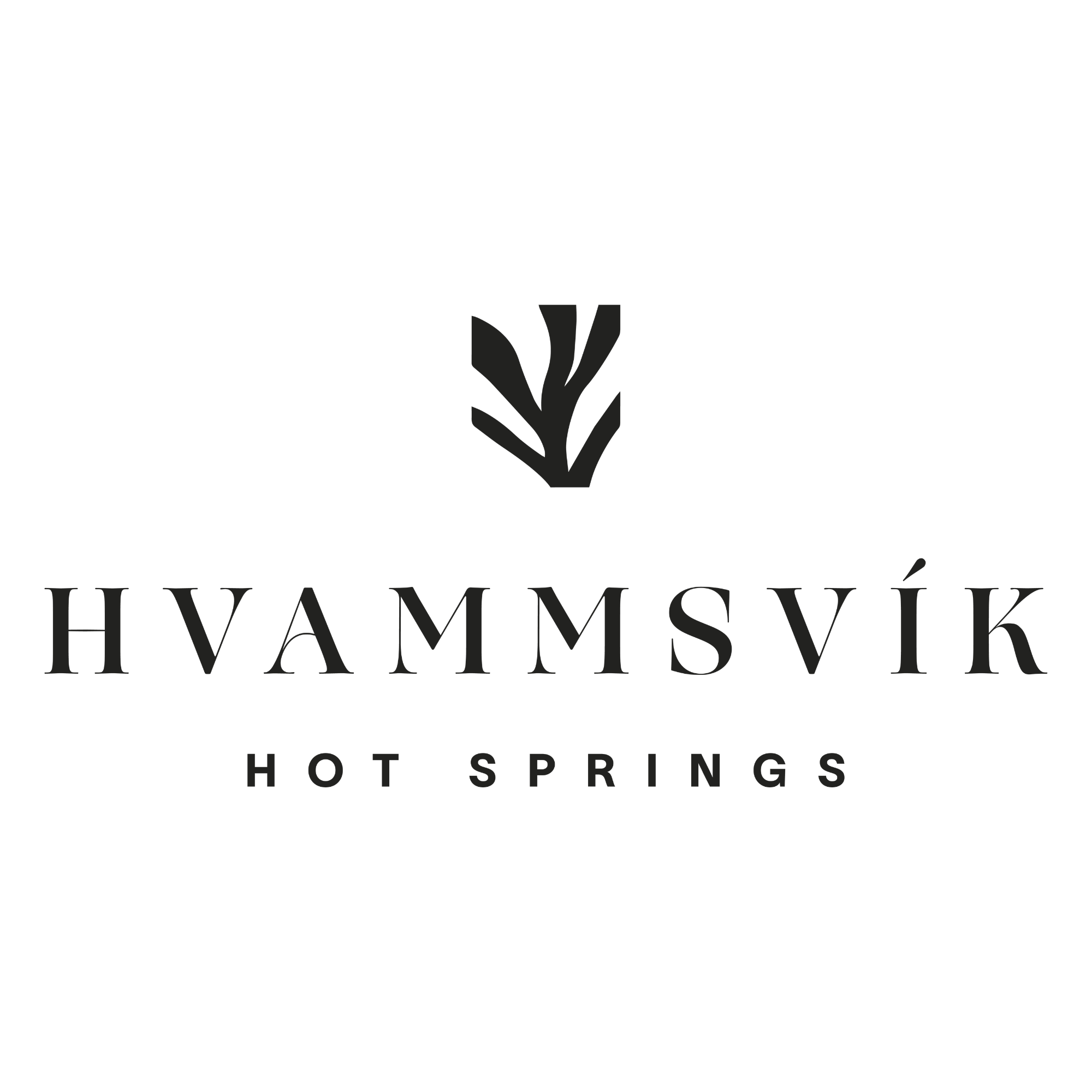 Hvammsvík Hot Springs