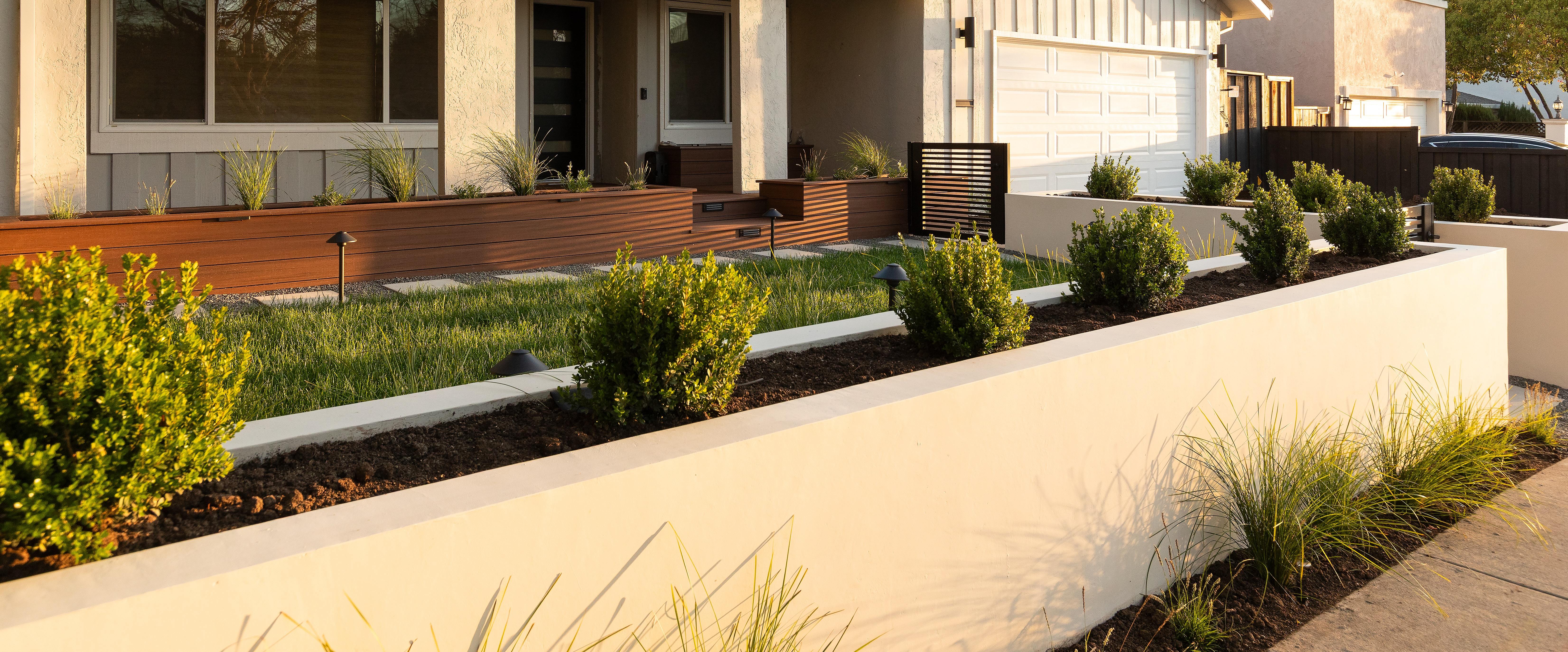 Modern front yard with smooth stucco retaining wall and boxwood landscaping