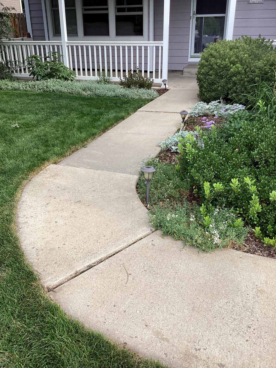 Walkway Joint Sealing - Before