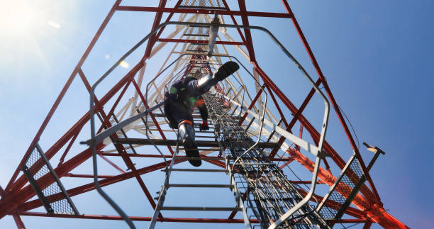 Telecom Network Services