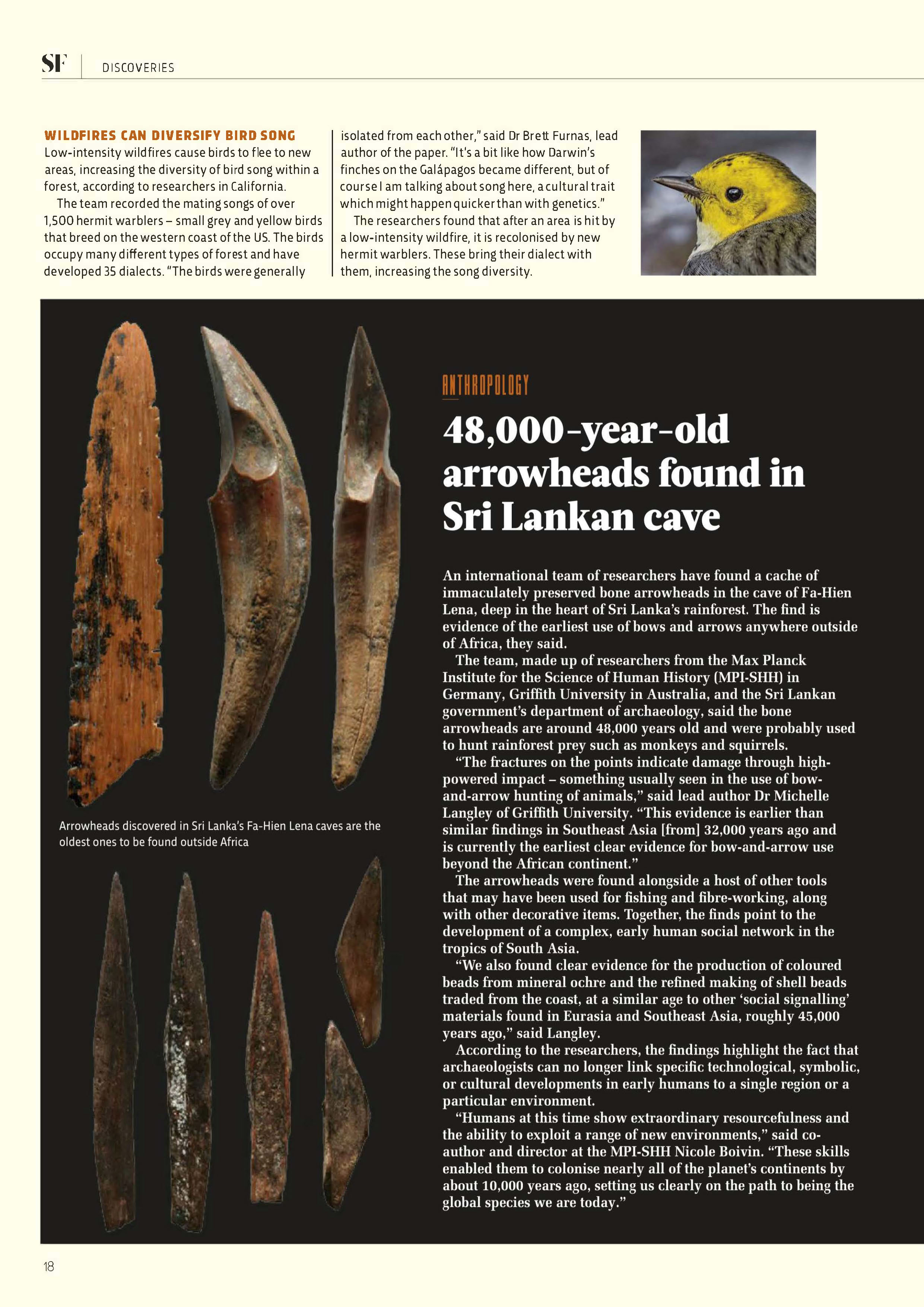 Template 13 magazine page layout