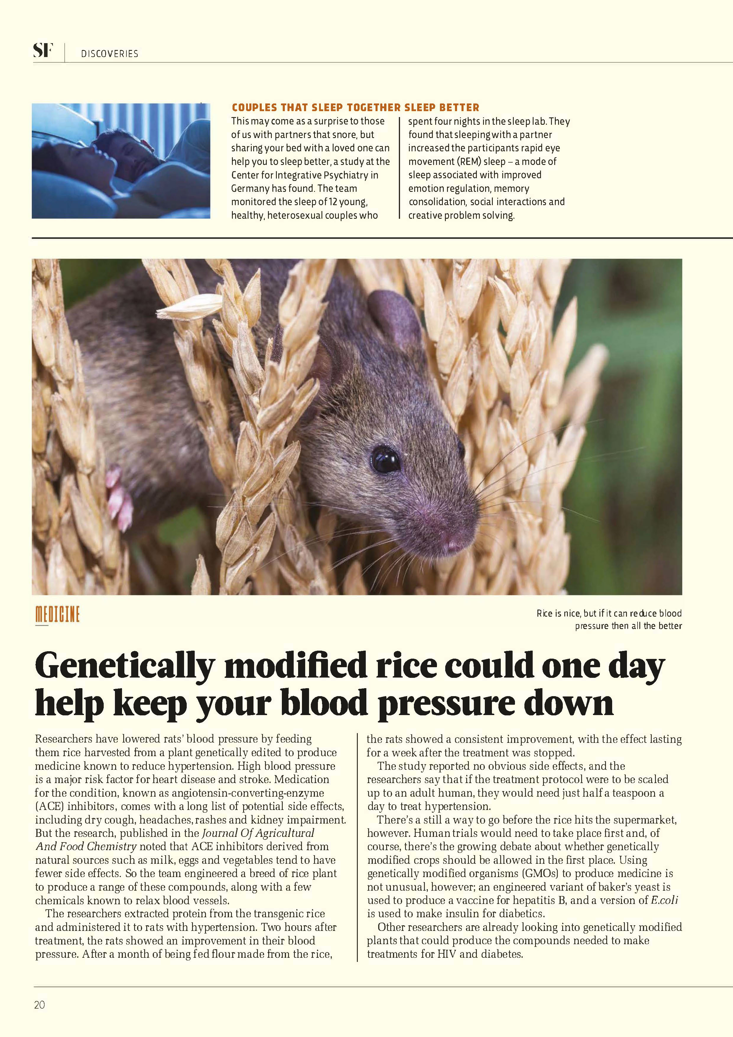 Template 15 magazine page layout