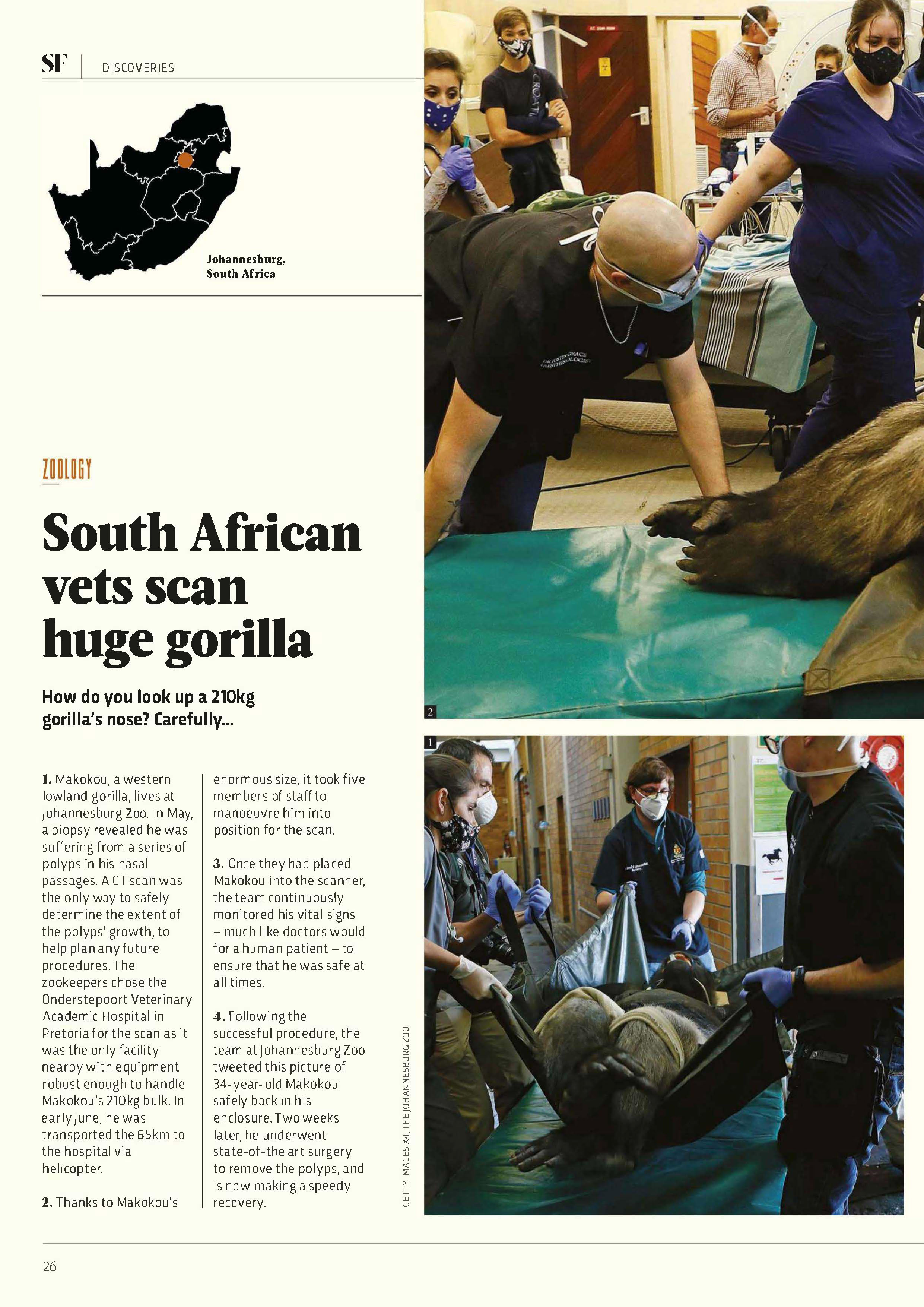 Template 21 magazine page layout