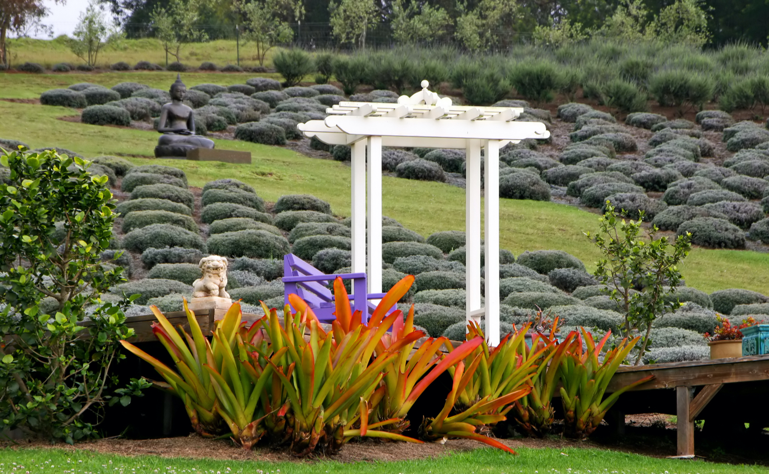 The Magic of Elevation and Climate - Image 1