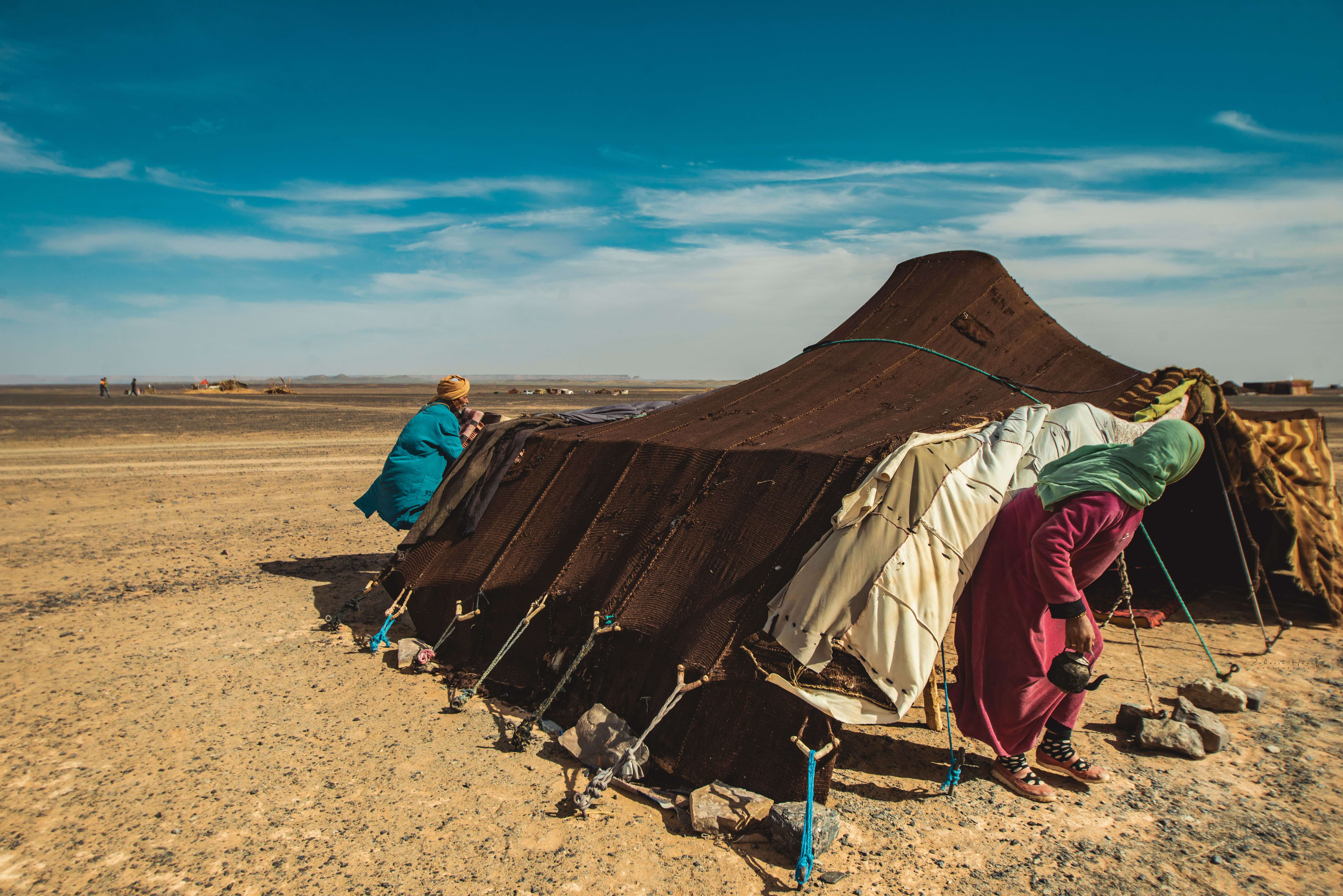 The Nomad for a Day
