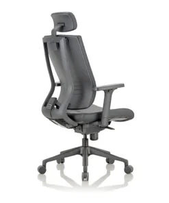 BS-Torso Dual Cushion Chair