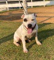 Foto de Torzinho