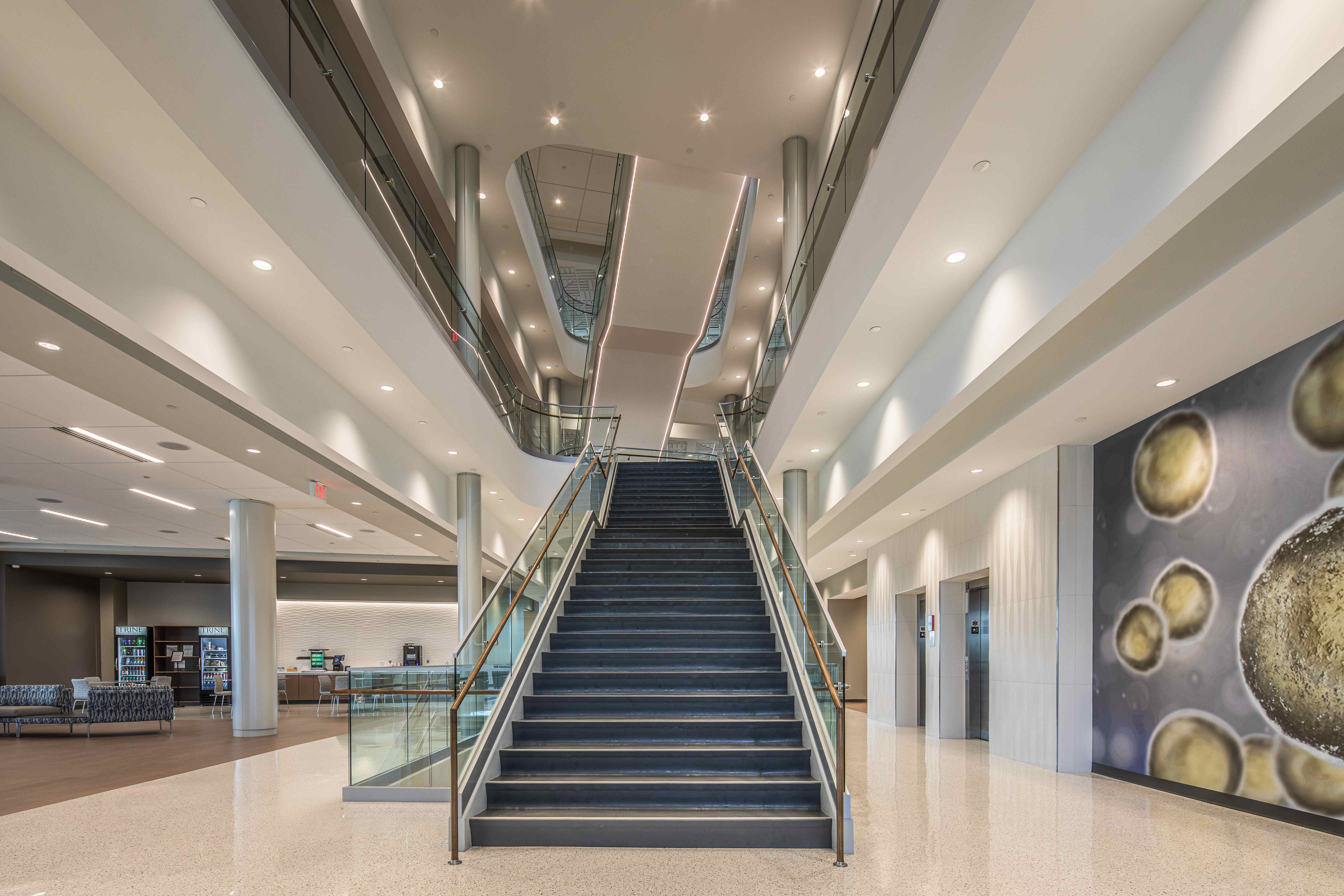 Trine University Health Professions Building — Structural Glass Main Stair, Symmetrical Full View