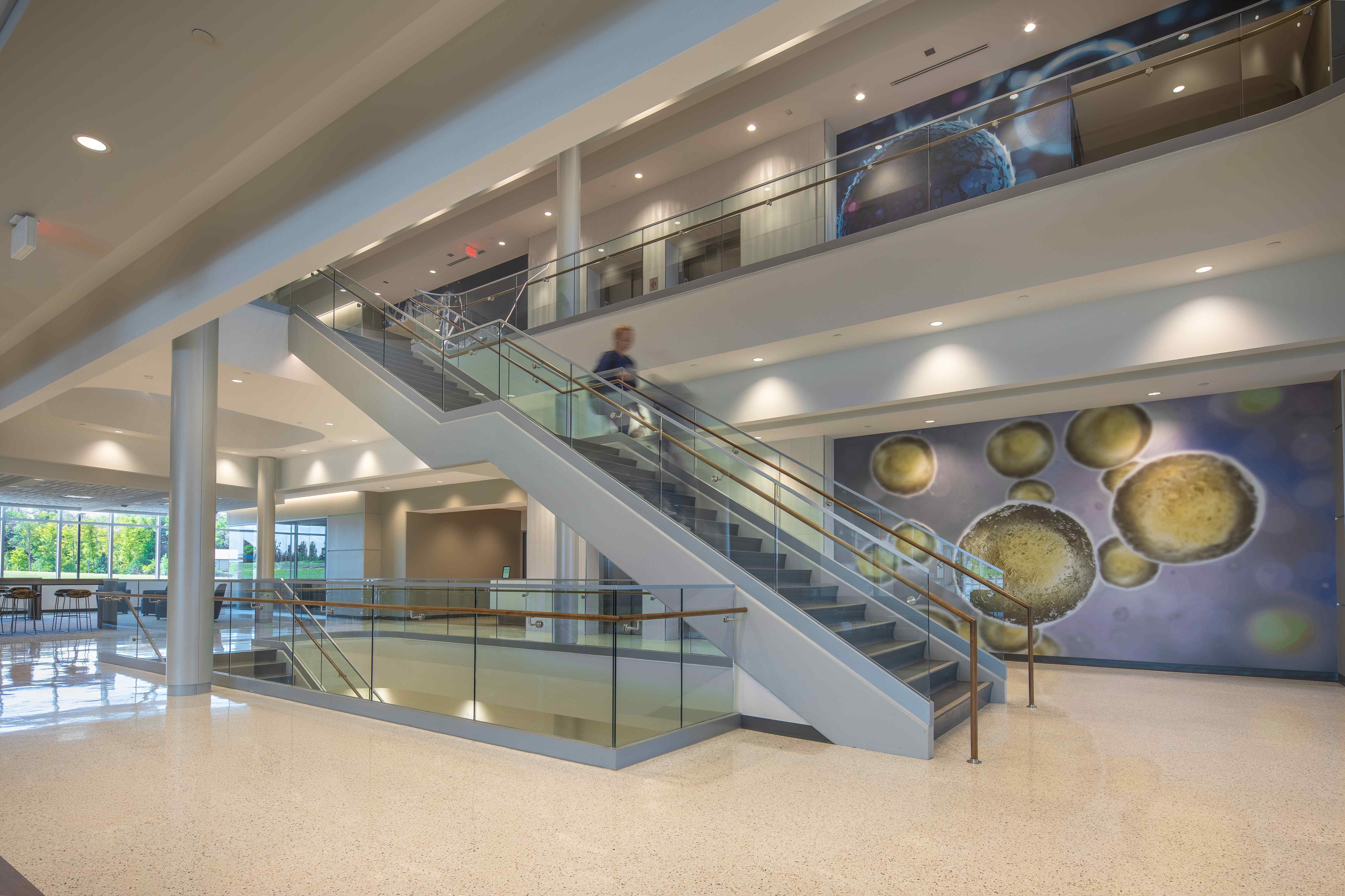 Trine University Health Professions Building — Structural Glass at Straight Stair Run with Cell Mural