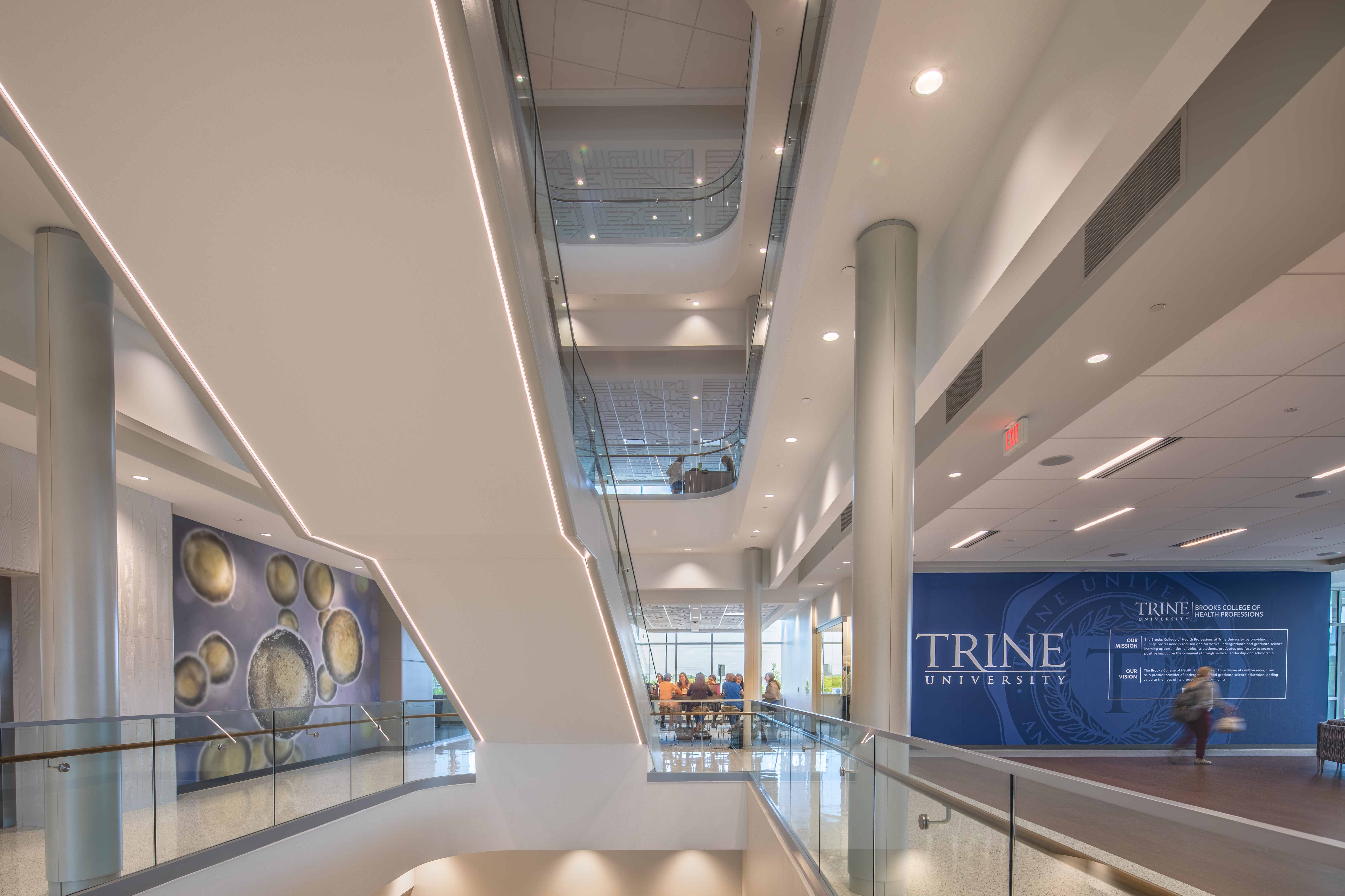 Trine University Health Professions Building — Structural Glass Atrium Corridor, LED Ceiling View