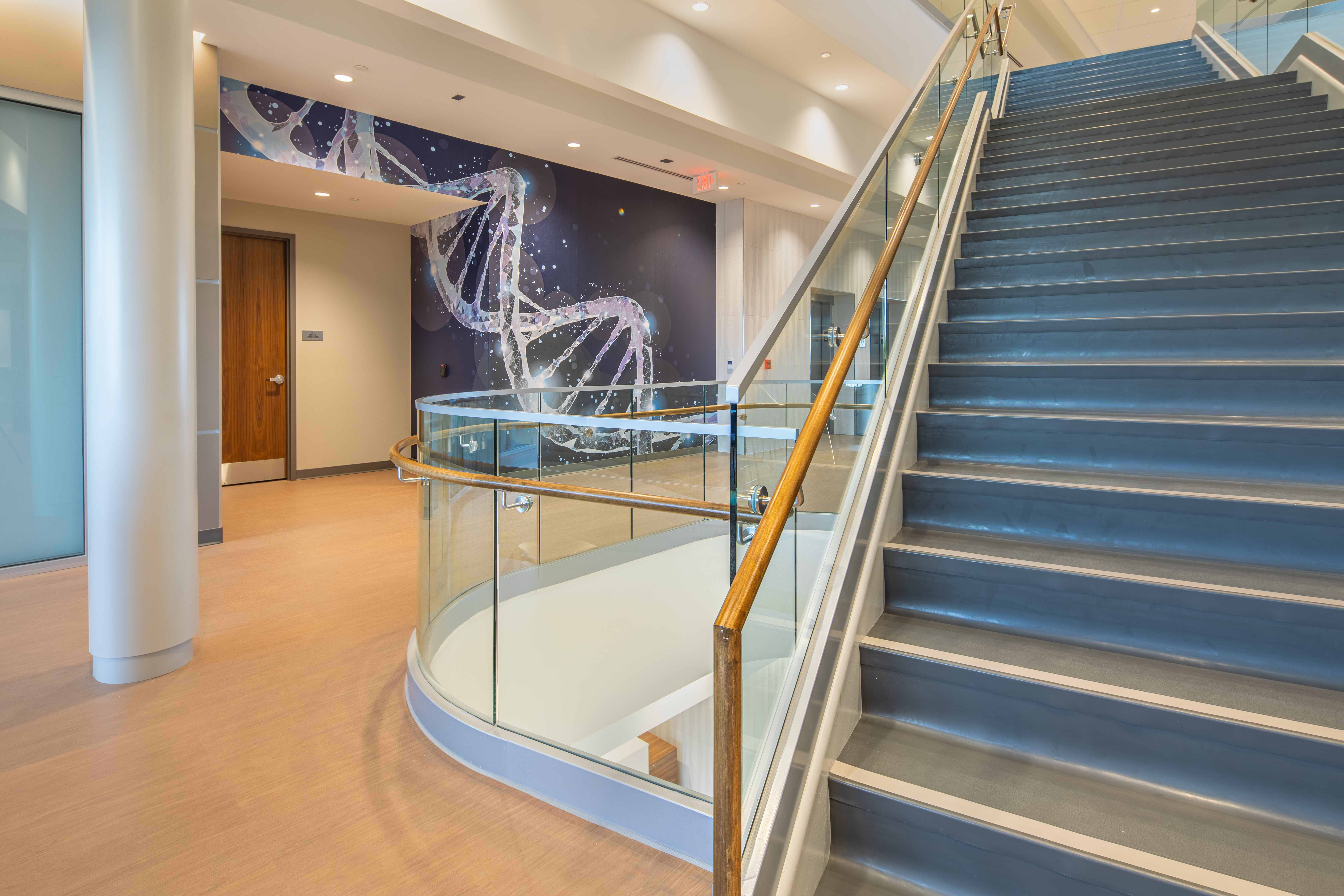 Trine University Health Professions Building — Structural Glass Stair with DNA Mural