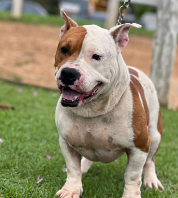 Foto de Tunico