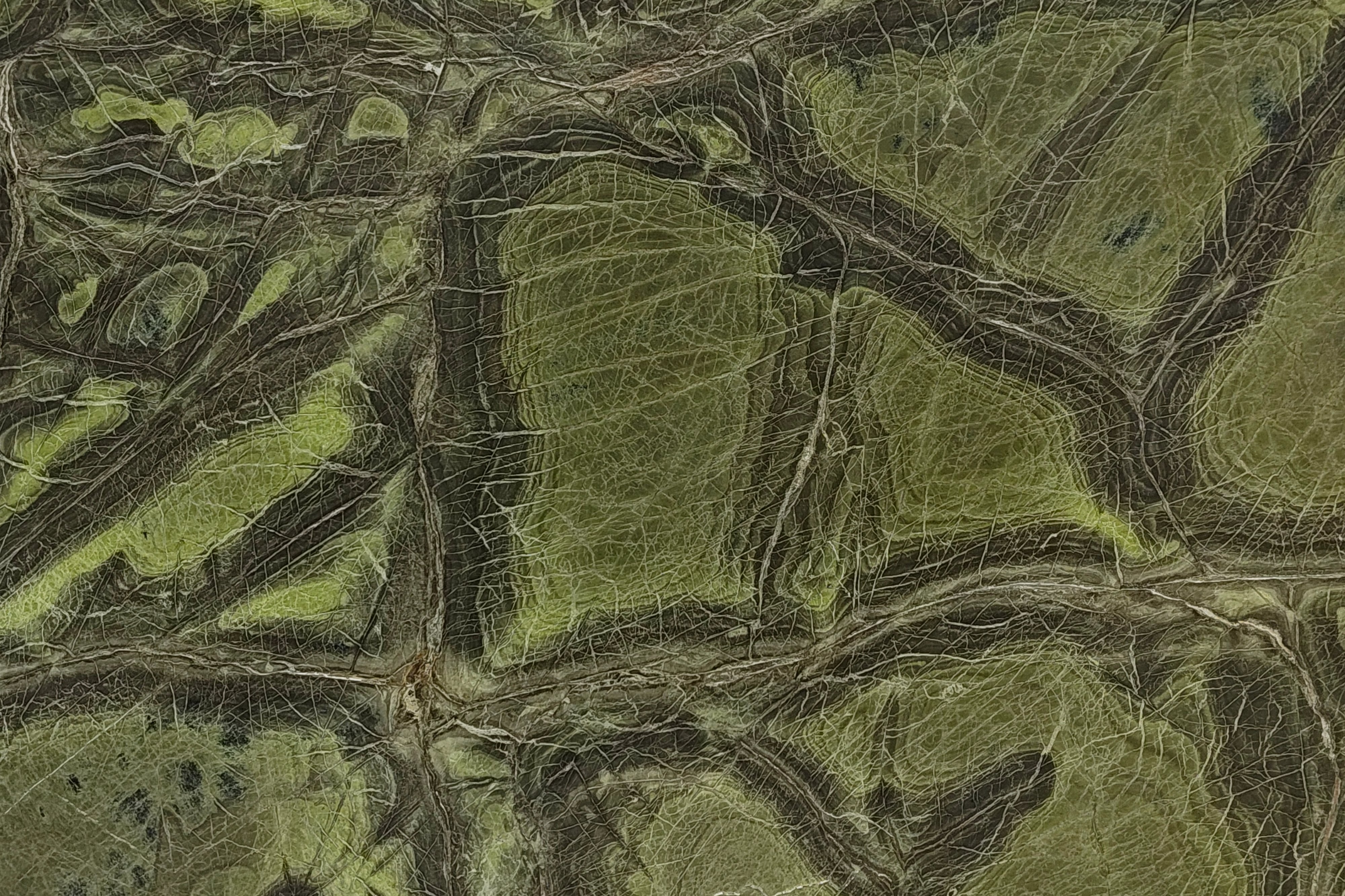 Turtle Green exotic marble slab
