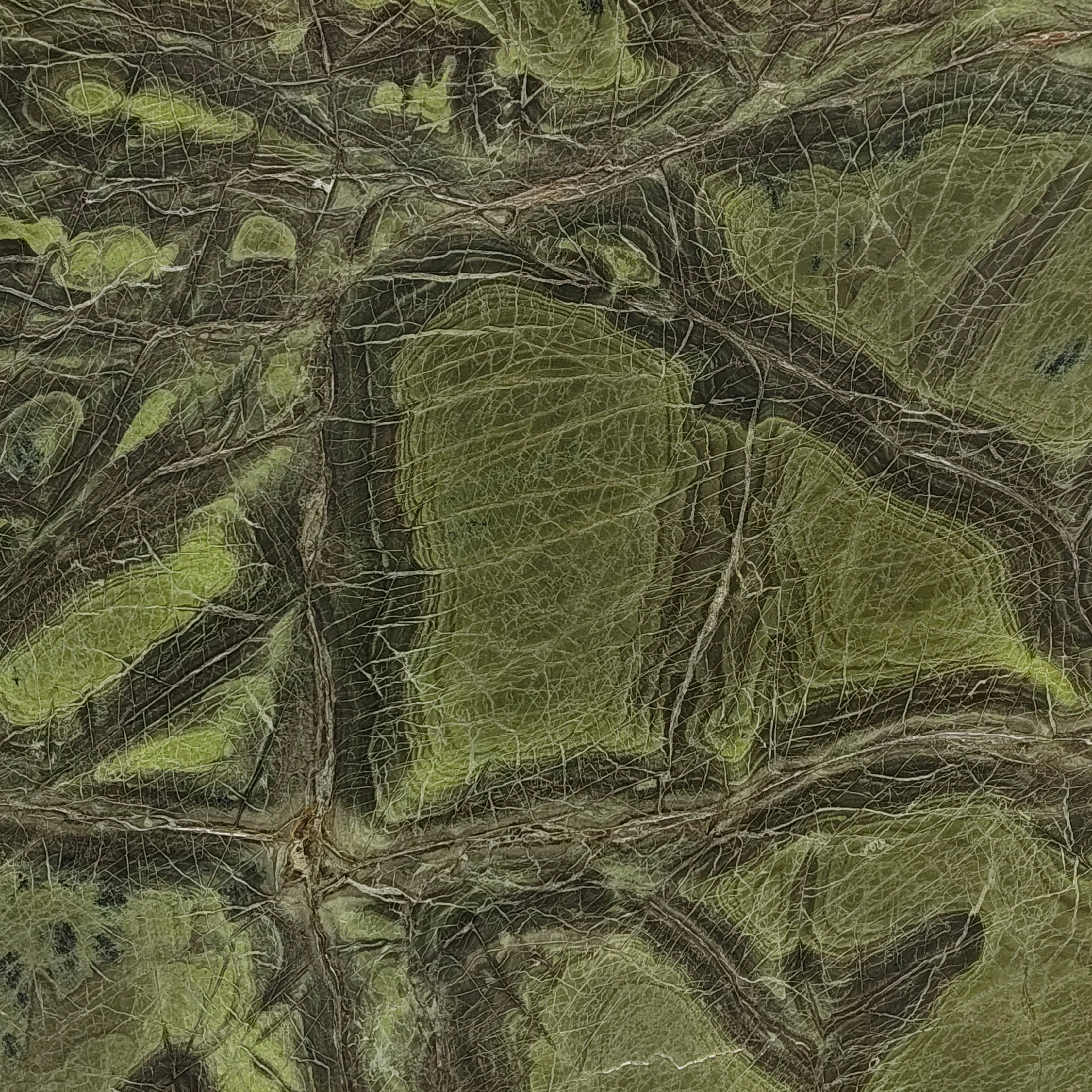 Turtle Green exotic marble slab