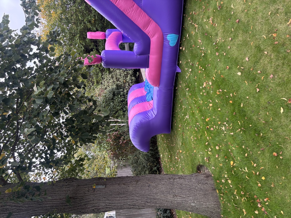 Unicorn bouncy castle in garden