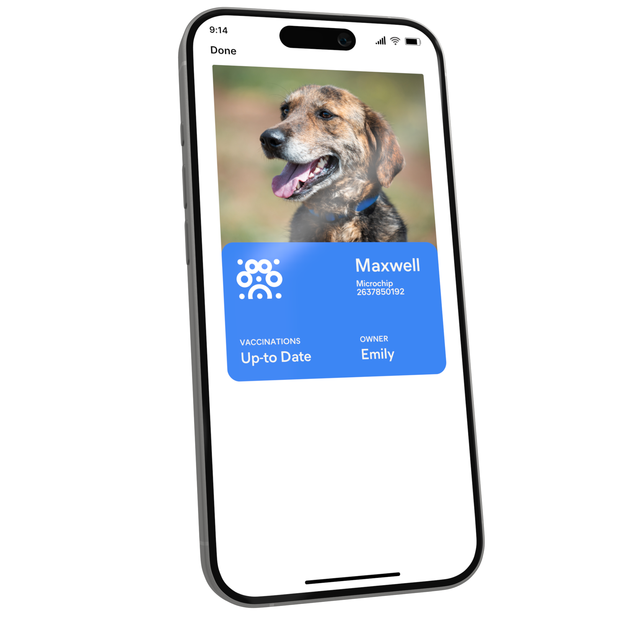 Pawpass app showing Maxwell's digital pet ID with vaccination status