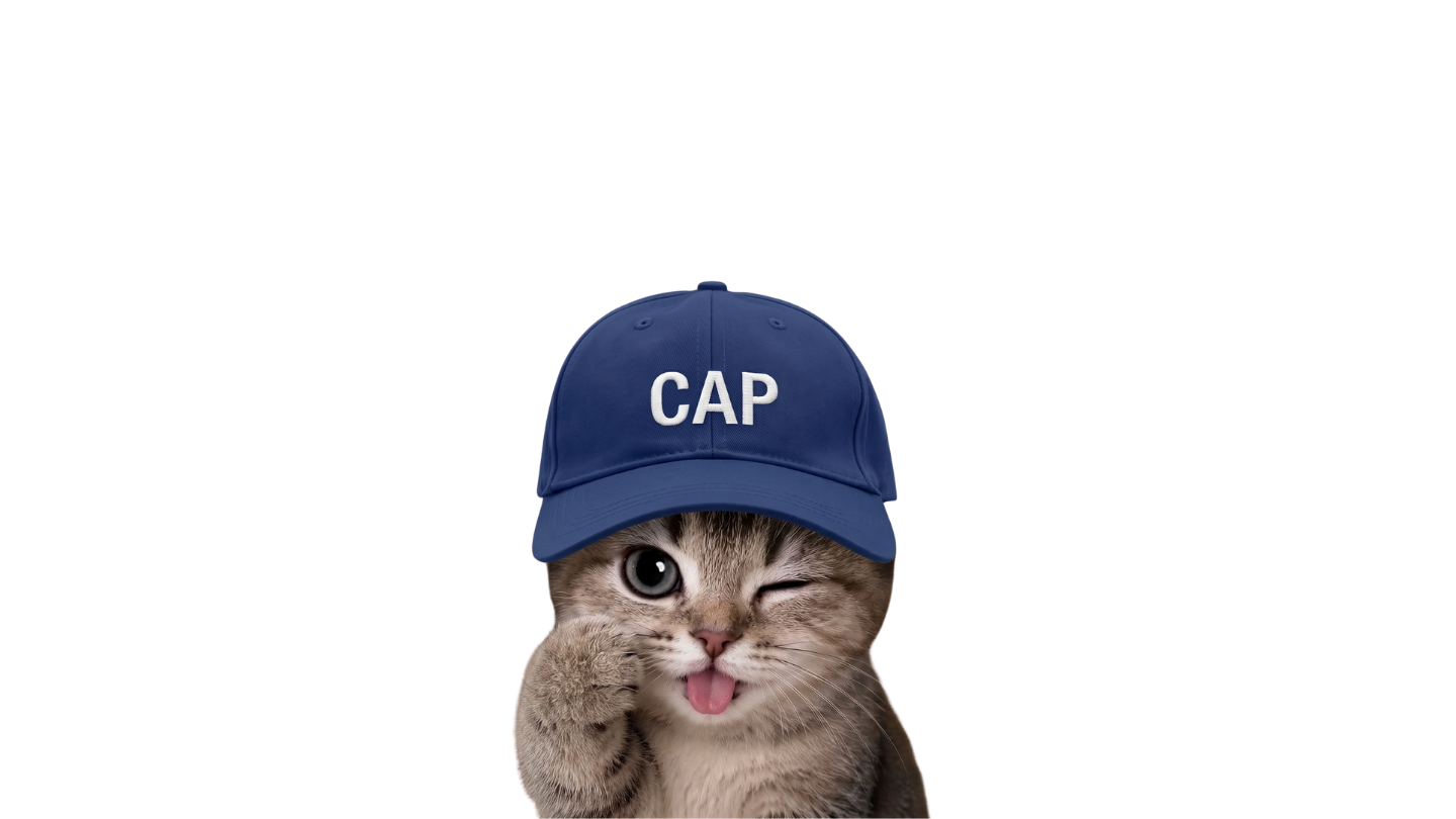 Kitten wearing CAP hat