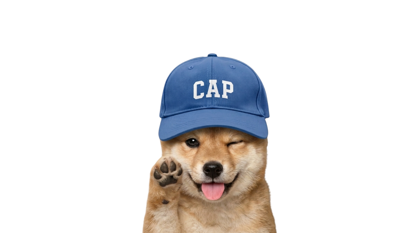 Shiba Inu puppy wearing CAP hat