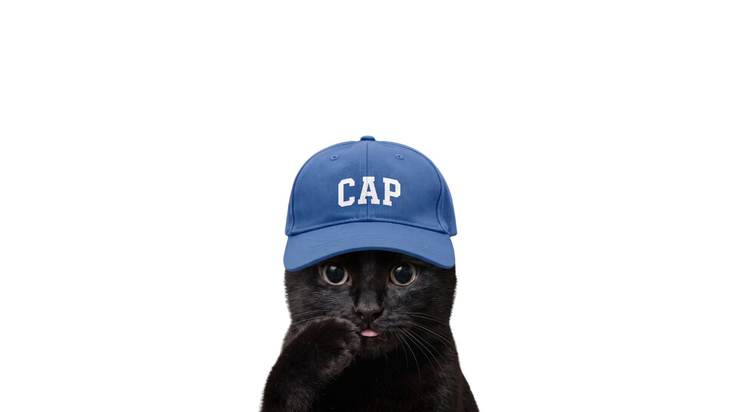 Black cat wearing a blue CAP hat