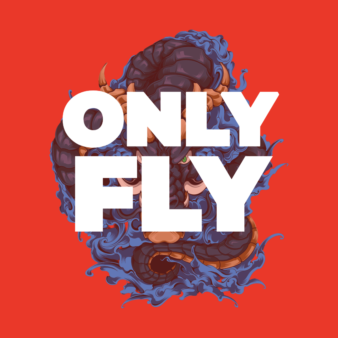 ONLY FLY