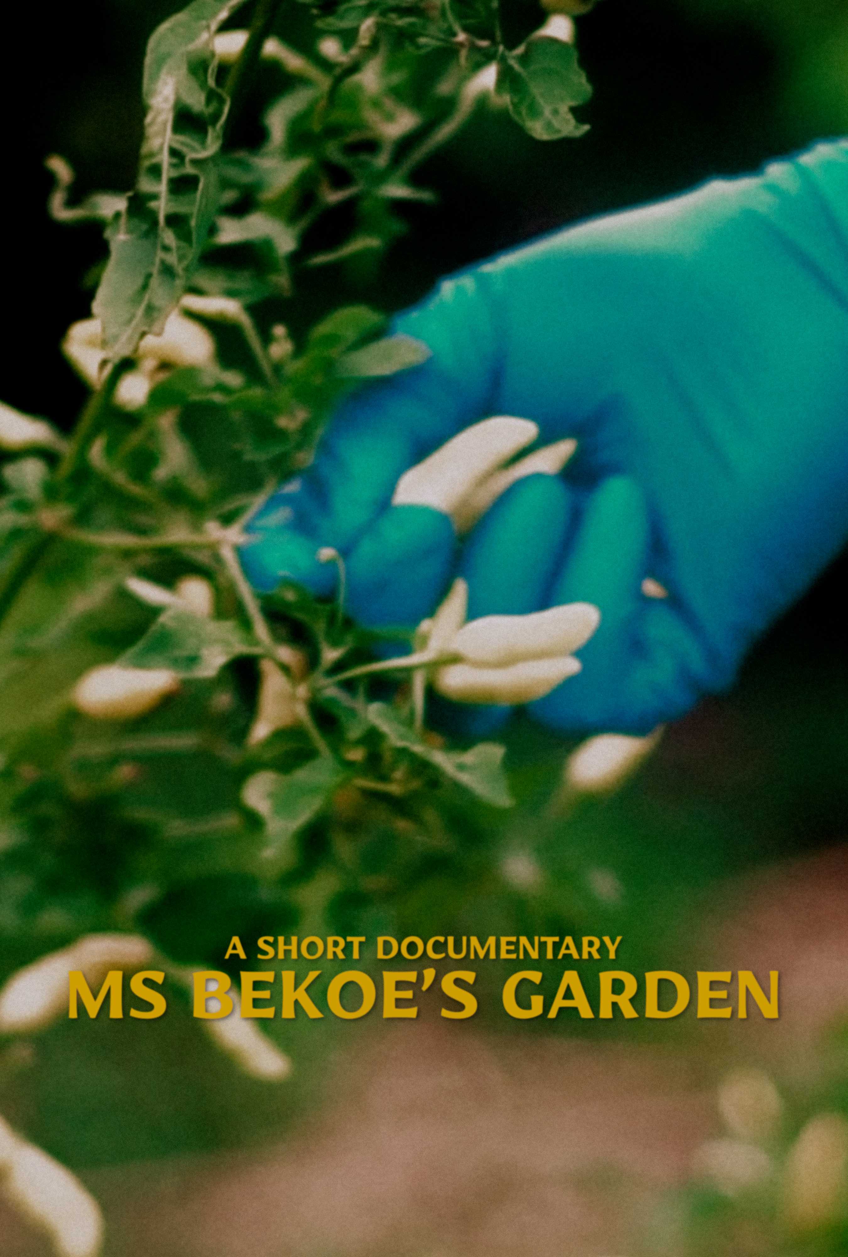 Ms Bekoe's Garden